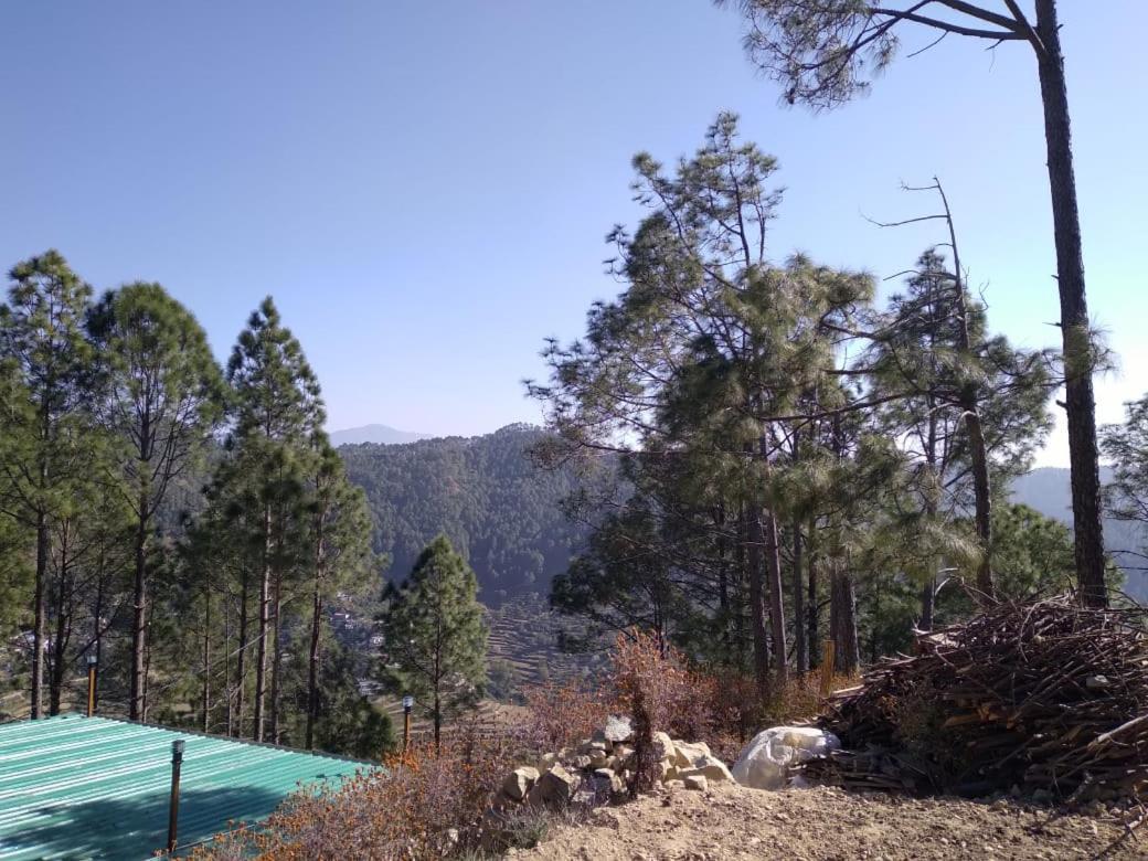 Nature Villaas Basa Homestay Pauri Luaran gambar