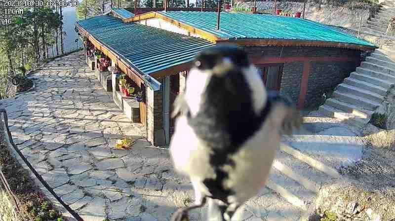 Nature Villaas Basa Homestay Pauri Luaran gambar